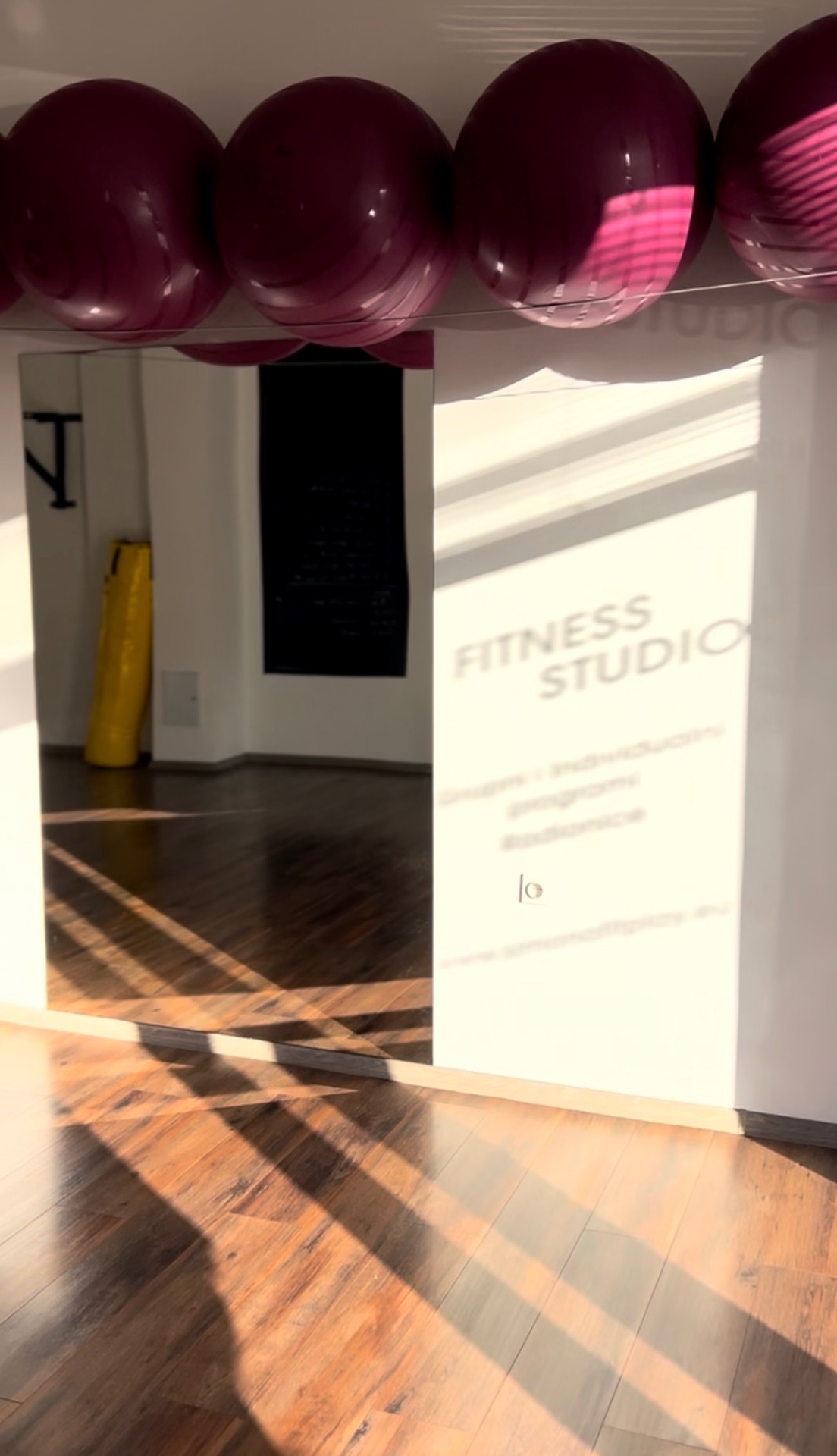 Interijer SIMBA fitness studija